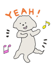 Belle, the bichon frise sticker #11564891