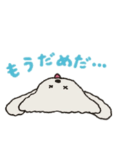 Belle, the bichon frise sticker #11564893