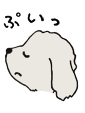 Belle, the bichon frise sticker #11564897