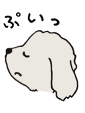 Belle, the bichon frise sticker #11564897