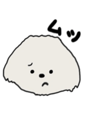 Belle, the bichon frise sticker #11564898