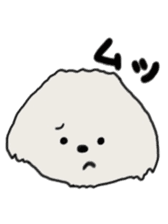 Belle, the bichon frise sticker #11564898