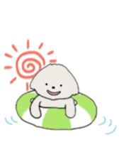 Belle, the bichon frise sticker #11564901