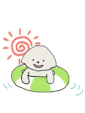 Belle, the bichon frise sticker #11564901