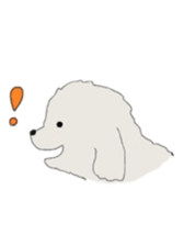 Belle, the bichon frise sticker #11564904