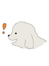 Belle, the bichon frise sticker #11564904