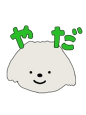 Belle, the bichon frise sticker #11564907