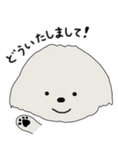 Belle, the bichon frise sticker #11564908