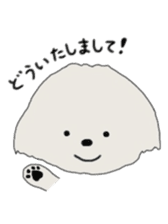 Belle, the bichon frise sticker #11564908