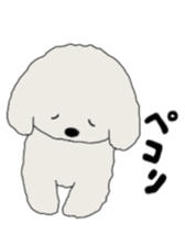 Belle, the bichon frise sticker #11564910