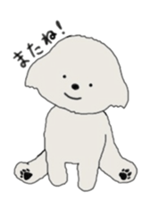 Belle, the bichon frise sticker #11564911
