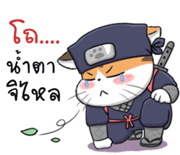 Soidow & Bubu (Ninja) sticker #11564985