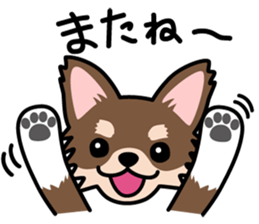 Cute! Chihuahua Stickers sticker #11565636