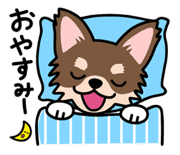 Cute! Chihuahua Stickers sticker #11565638