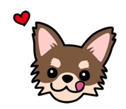 Cute! Chihuahua Stickers sticker #11565644