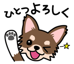 Cute! Chihuahua Stickers sticker #11565653