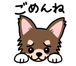 Cute! Chihuahua Stickers sticker #11565654