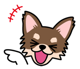 Cute! Chihuahua Stickers sticker #11565656