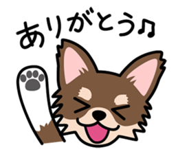 Cute! Chihuahua Stickers sticker #11565658