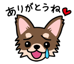 Cute! Chihuahua Stickers sticker #11565660