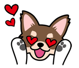 Cute! Chihuahua Stickers sticker #11565662