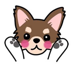 Cute! Chihuahua Stickers sticker #11565663
