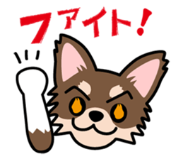 Cute! Chihuahua Stickers sticker #11565667