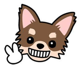 Cute! Chihuahua Stickers sticker #11565669