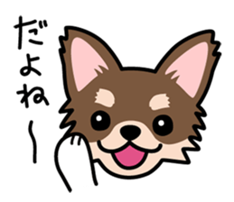 Cute! Chihuahua Stickers sticker #11565671