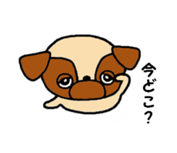 Pug Pug Dog 2 sticker #11565852