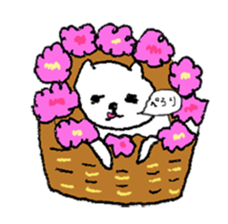 Neko cats sticker #11566567