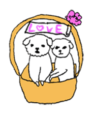 Neko cats sticker #11566568