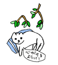 Neko cats sticker #11566579