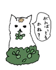 Neko cats sticker #11566584