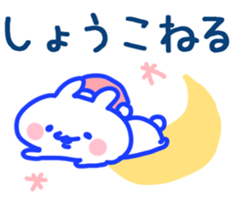 The Syoko! sticker #11568393