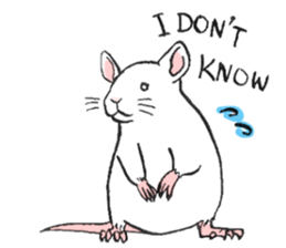 Balcy mouse sticker #11569472