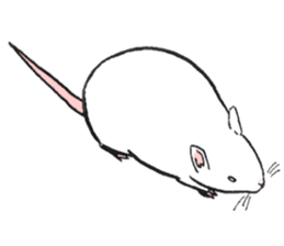 Balcy mouse sticker #11569474