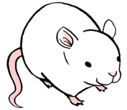 Balcy mouse sticker #11569477