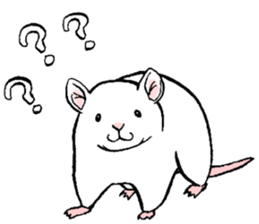 Balcy mouse sticker #11569478