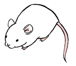 Balcy mouse sticker #11569479