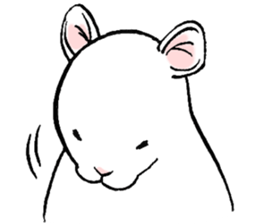 Balcy mouse sticker #11569481