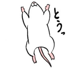 Balcy mouse sticker #11569485