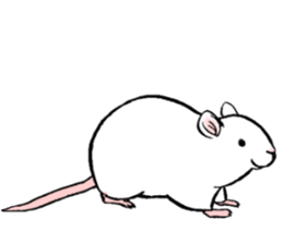 Balcy mouse sticker #11569486
