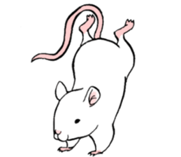 Balcy mouse sticker #11569488