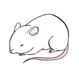 Balcy mouse sticker #11569489