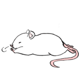 Balcy mouse sticker #11569495