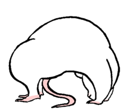 Balcy mouse sticker #11569500