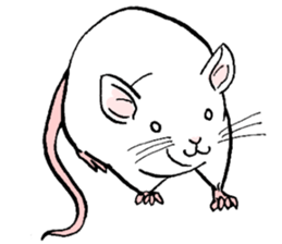 Balcy mouse sticker #11569502