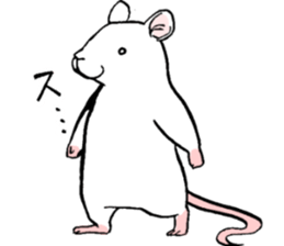 Balcy mouse sticker #11569508