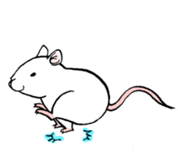 Balcy mouse sticker #11569509